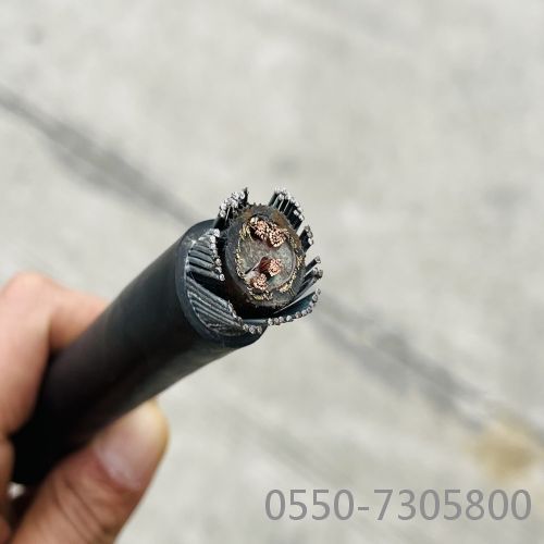 ¸ÖË¿îø×°µçÀÂ23.jpg ¸ÖË¿îø×°µçÀÂ23.jpg