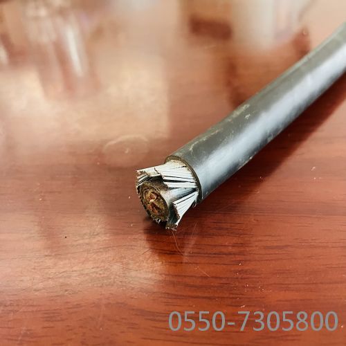 ¸ÖË¿îø×°µçÀÂ14.jpg ¸ÖË¿îø×°µçÀÂ14.jpg