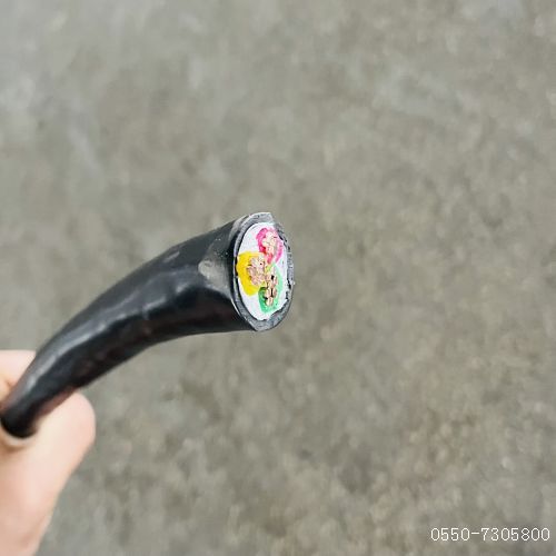 ÌØÖÖµçÀ³§¼Ò93.jpg ÌØÖÖµçÀ³§¼Ò93.jpg