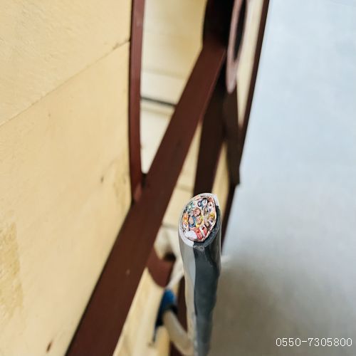 ÌØÖÖµçÀ³§¼Ò114.jpg ÌØÖÖµçÀ³§¼Ò114.jpg