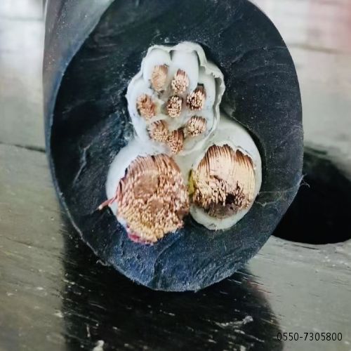 ÌØÖÖµçÀÂ......29.jpg ÌØÖÖµçÀÂ......29.jpg