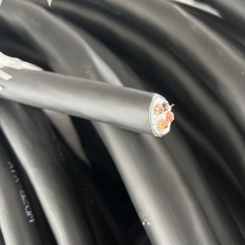 IMG_3320.jpg IMG_3320.jpg