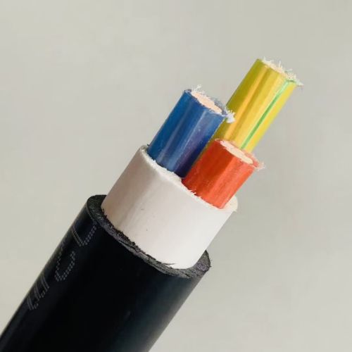 IMG_5238.jpg IMG_5238.jpg