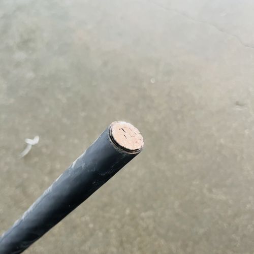 IMG_4879.jpg IMG_4879.jpg