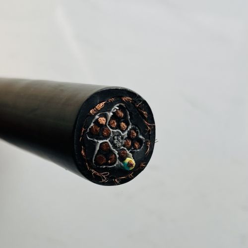 IMG_3117.jpg IMG_3117.jpg