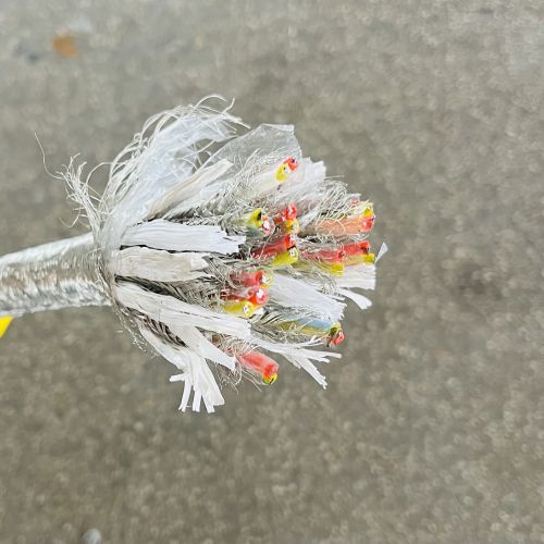 IMG_6502.jpg IMG_6502.jpg