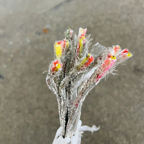 IMG_6533.jpg IMG_6533.jpg