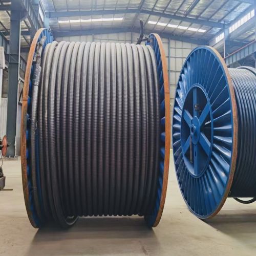 IMG_0895.jpg IMG_0895.jpg