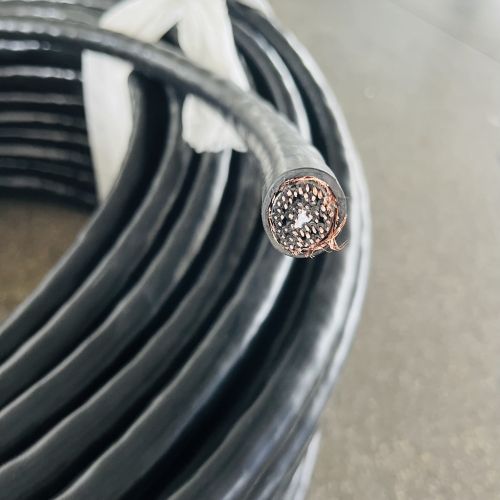 IMG_4937.jpg IMG_4937.jpg