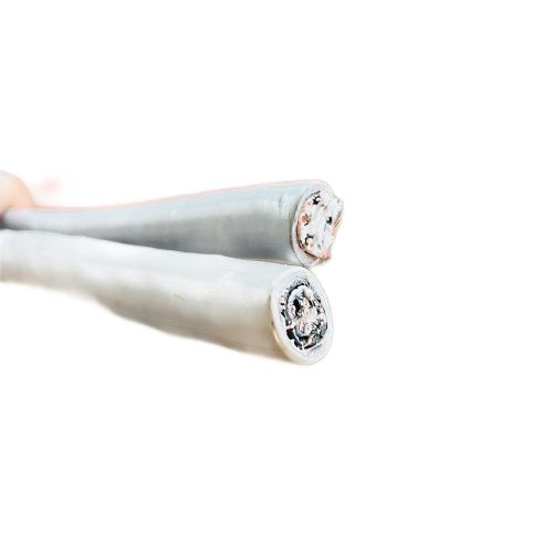 IMG_1661.png IMG_1661.png