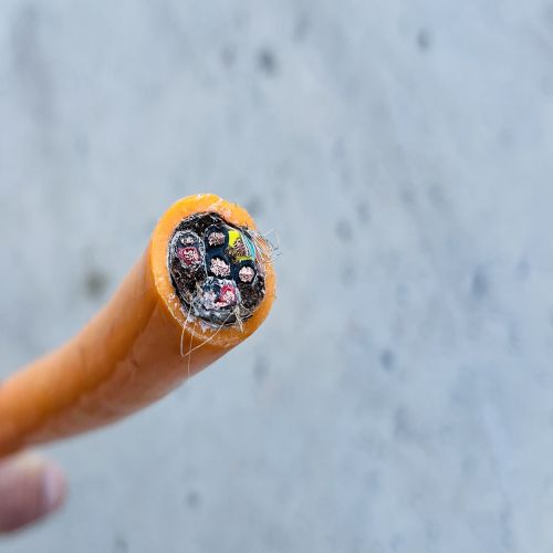 IMG_8835.jpg IMG_8835.jpg