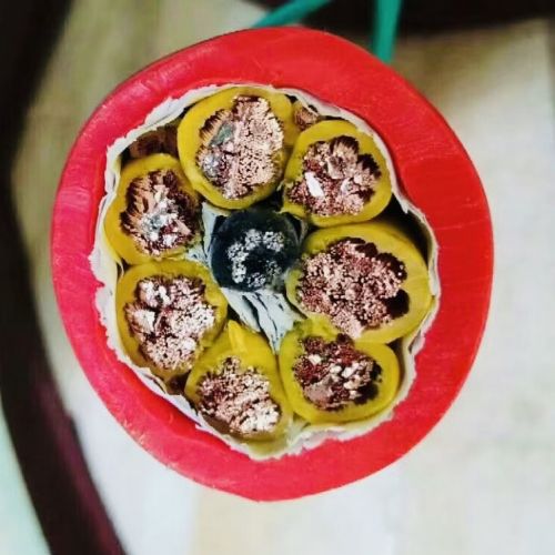 IMG_5465.jpg IMG_5465.jpg