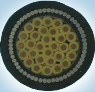 201703221353446896 201703221353446896