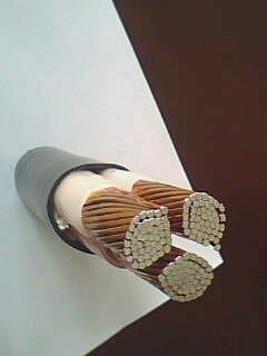 201703281930157690 201703281930157690