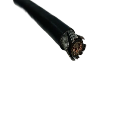 202411110913297304 202411110913297304