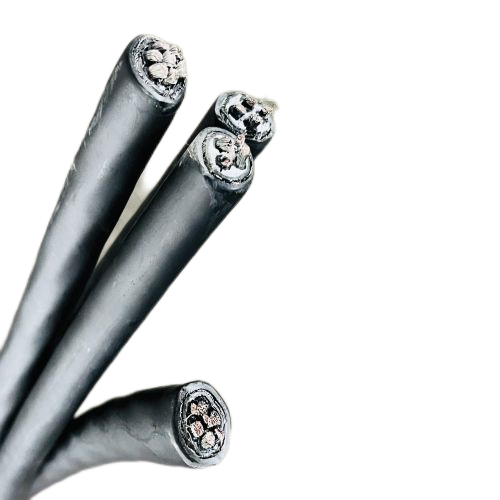 202411131553571236 202411131553571236