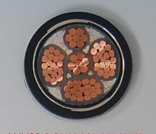 SkyBet天空·(中国区)体育中文网官方