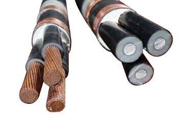 SkyBet��ա�(�й���)�����������ٷ�