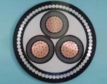 SkyBet��ա�(�й���)�����������ٷ�