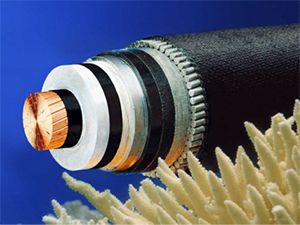 SkyBet天空·(中国区)体育中文网官方