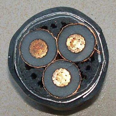 SkyBet天空·(中国区)体育中文网官方