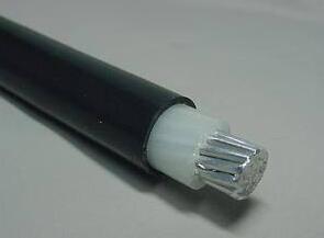 SkyBet天空·(中国区)体育中文网官方