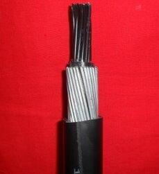 SkyBet��ա�(�й���)�����������ٷ�