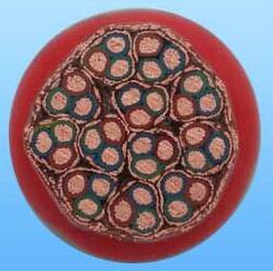 SkyBet天空·(中国区)体育中文网官方