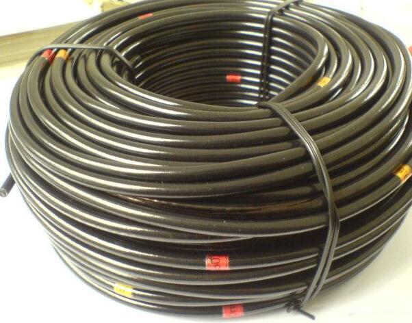 SkyBet天空·(中国区)体育中文网官方