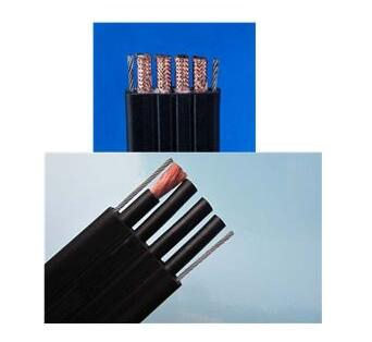 SkyBet��ա�(�й���)�����������ٷ�