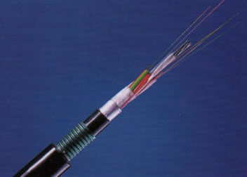 SkyBet天空·(中国区)体育中文网官方