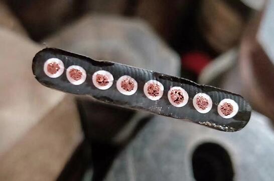 SkyBet��ա�(�й���)�����������ٷ�