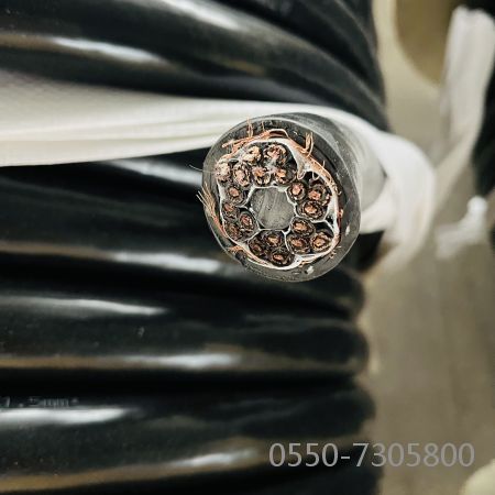 SkyBet��ա�(�й���)�����������ٷ�