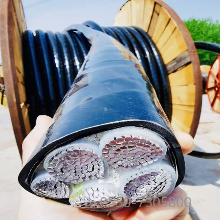 SkyBet天空·(中国区)体育中文网官方