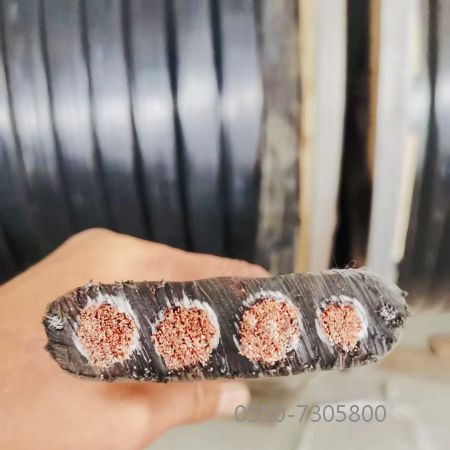 SkyBet天空·(中国区)体育中文网官方