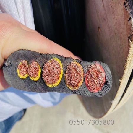 SkyBet天空·(中国区)体育中文网官方