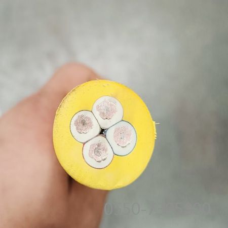 SkyBet天空·(中国区)体育中文网官方