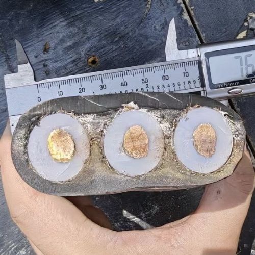 SkyBet天空·(中国区)体育中文网官方