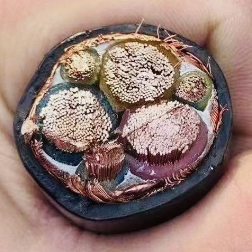 SkyBet天空·(中国区)体育中文网官方