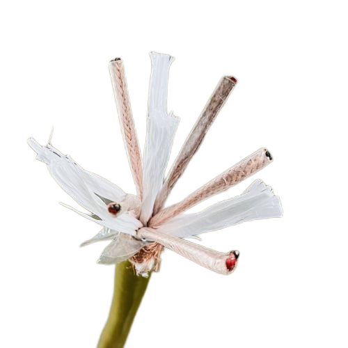 SkyBet天空·(中国区)体育中文网官方