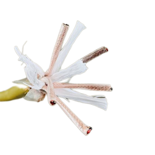 SkyBet天空·(中国区)体育中文网官方