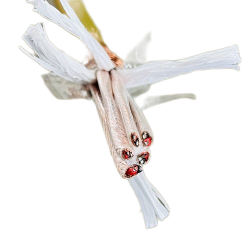 SkyBet天空·(中国区)体育中文网官方