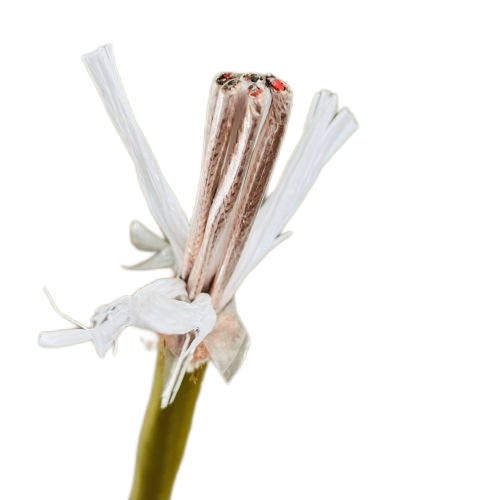 SkyBet天空·(中国区)体育中文网官方