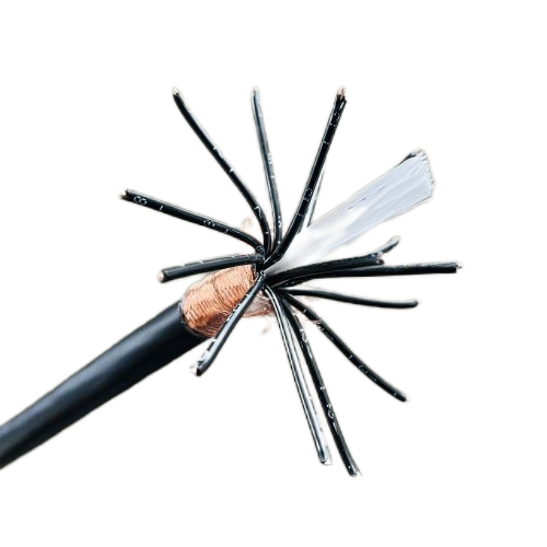 SkyBet��ա�(�й���)�����������ٷ�