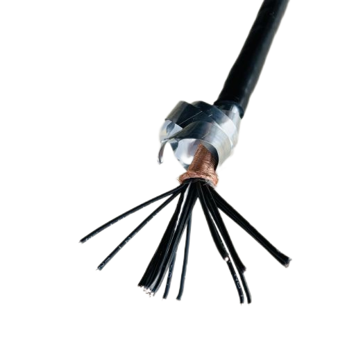 SkyBet��ա�(�й���)�����������ٷ�