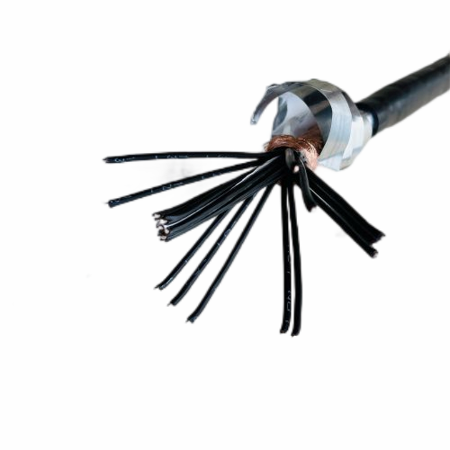 SkyBet��ա�(�й���)�����������ٷ�