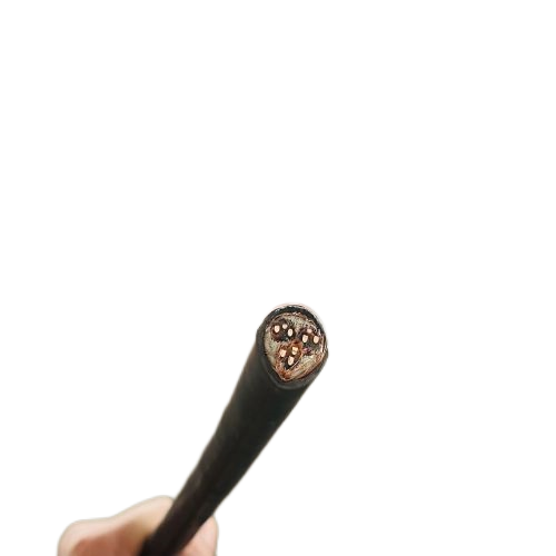 SkyBet��ա�(�й���)�����������ٷ�