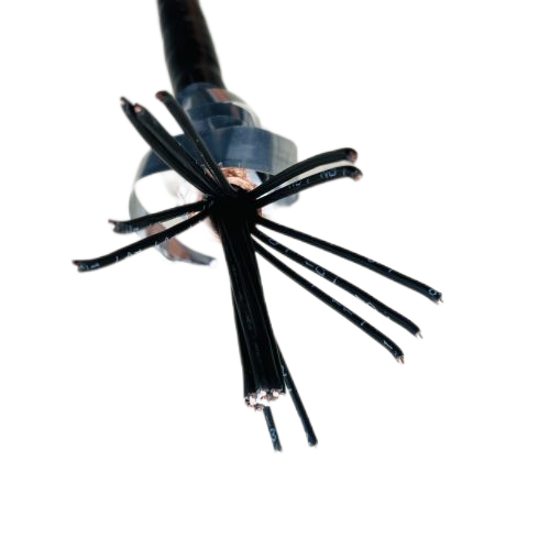 SkyBet��ա�(�й���)�����������ٷ�