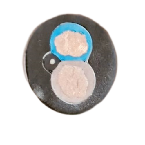 SkyBet��ա�(�й���)�����������ٷ�