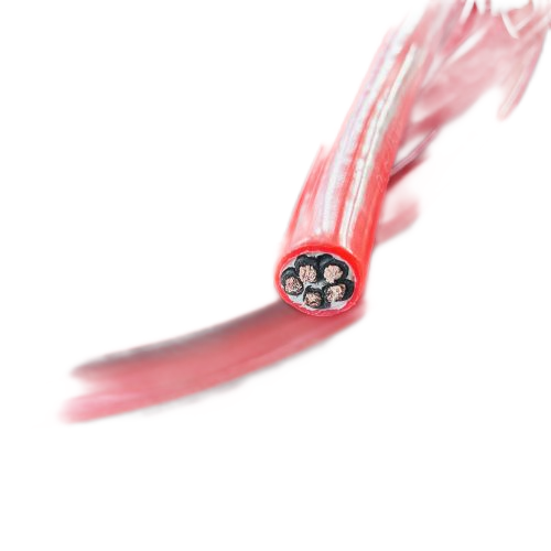 SkyBet天空·(中国区)体育中文网官方